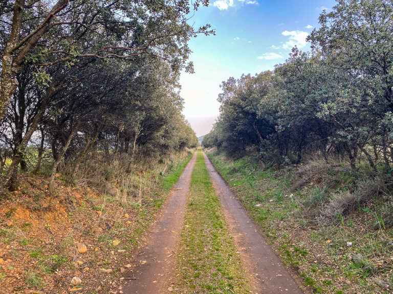 Ayuntamiento de Argamasilla de Calatrava y ADIF trabajan en el convenio que creará una vía verde por la antigua ruta de ‘el trenillo’